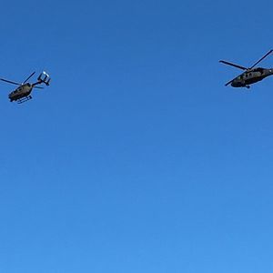 Meet your Posher, Abigail